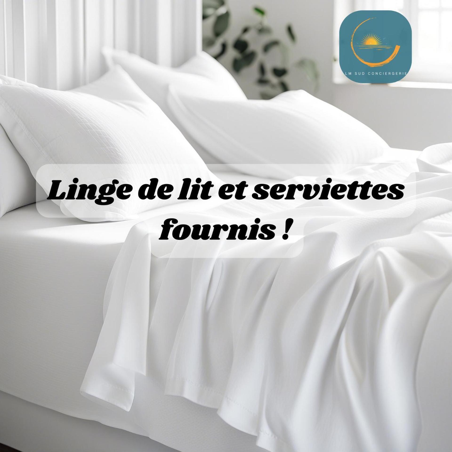 * F3 Haussmannien, Centre-Ville, 4 Pers, Wifi * Montpellier Buitenkant foto