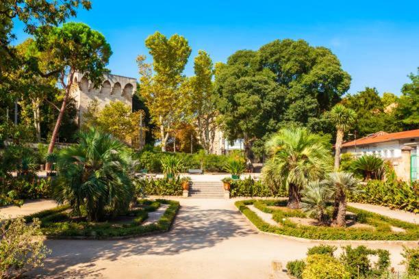 * F3 Haussmannien, Centre-Ville, 4 Pers, Wifi * Montpellier Buitenkant foto